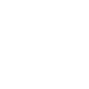 Business Licensing System icon
